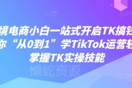 2024TikTok跨境电商运营从0到1全教程 小白入门实操指南