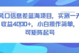 实测单日收益4k+信息差蓝海项目 小白易操作可矩阵批量起号