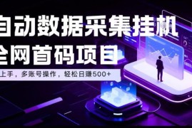 全自动淘宝数据采集项目介绍 新手易上手支持多账号操作