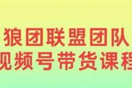 2024狼团联盟视频号带货教程 0基础小白快速入局实操全攻略