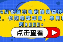 4月蓝海跨境装备差价电商项目解析 长期稳定单月收益5000+