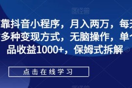 抖音小程序低门槛变现教程 零投入日做2小时月入两万实操指南