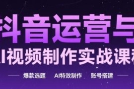 抖音运营与AI视频制作实战课 含账号搭建选题特效全流程教学