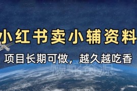 小红书售卖小学教辅资料实操教程 长期稳定副业项目玩法解析