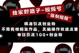 视频号无需剪辑发作品引流创业粉 单日引流100+实操教程