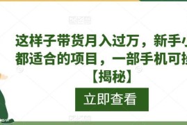 新手可做低门槛视频带货项目 一部手机操作即可实现月入过万