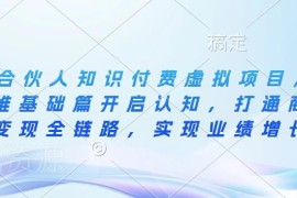 IP合伙人知识付费虚拟项目实操教程 从引流到成交打通变现全链路