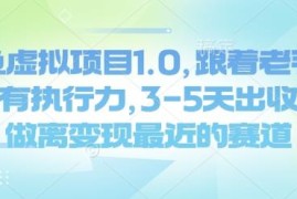 闲鱼虚拟项目1.0实操教程 有执行力新手3-5天即可获得收益
