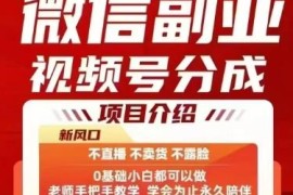 微信视频号分成计划副业详解 无需开播卖货新手也可获收益