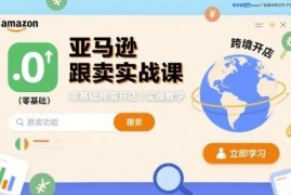 亚马逊跟卖实战课程 零基础跨境开店运营全流程实操教学