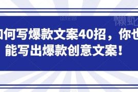 40招爆款文案撰写实用教程 新手也能写出高流量创意文案