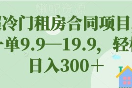 冷门租房合同模板售卖项目拆解 零成本低门槛副业日入300教程