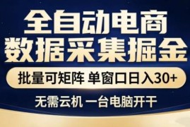 电商全自动数据采集项目解析 批量矩阵运营单窗口日入300+