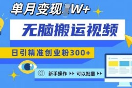 2024视频号无脑搬运引创业粉教程 新手可操作批量复制变现方法