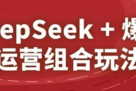 2025淘系精品课：DeepSeek+爆品运营组合玩法实操教学