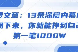 13条商业深层内幕汇总 普通人赚第一笔千万的实用参考指南