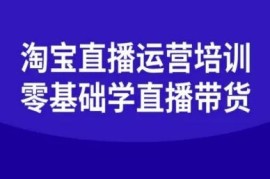 零基础淘宝直播运营系统培训 全流程掌握直播卖货核心技巧