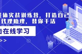 AI智能体实战训练营课程 从零搭建专属代理助理自动处理事务