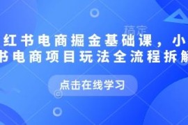 2025年9月更新 小红书电商全流程运营玩法拆解实战课程