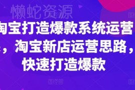 淘宝新店系统运营课程 从开店选品到快速打造爆款全攻略