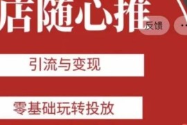 老陈随心推系统教程 零基础学会新老账号引流变现投放技巧