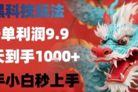 零门槛9.9元单利润信息差项目 新手小白可轻松上手实操指南