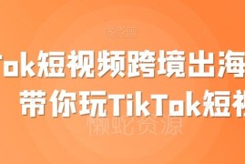 TikTok跨境短视频运营实操教程 出海带货赚美金全流程指南