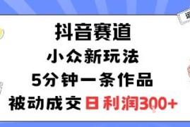 抖音小众赛道新玩法：5分钟做一条作品 被动成交适合新手副业