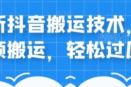 售价598元抖音及中视频搬运技术 轻松过原创的实操教程