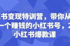24堂小红书爆款运营课 从0到1打造可变现的个人小红书账号