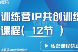 林枫IP共创导师训练营3.0 12节私密实操课卖项目核心秘诀解析