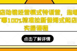 电商全店动销经营模式特训营 精准拉新保姆式起店实操课程