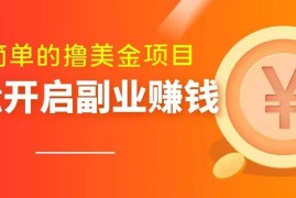 零门槛撸美金项目解析 输入验证码即可完成的低门槛副业