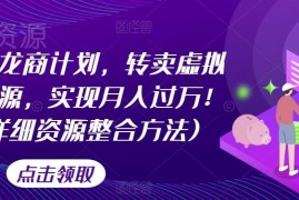 游戏回龙商计划详解：转卖虚拟游戏资源月入过万实操方法