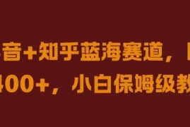抖音+知乎蓝海赛道实操教程 小白零门槛上手变现全指南