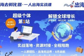 个人出海创业实战课程 超级个体从0到1解锁全球业务增长