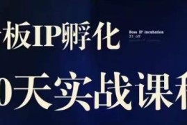 2023诸葛老板IP实战课 实体同城引流获客及IP孵化实操教程