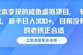 零成本闲鱼虚拟项目操作攻略 轻资产运营适合新手入局增收