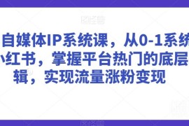 0基础学小红书美学自媒体运营 掌握平台逻辑实现涨粉变现