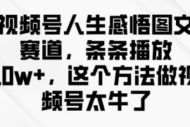 视频号人生感悟图文赛道10w+玩法 零基础5分钟即可做内容
