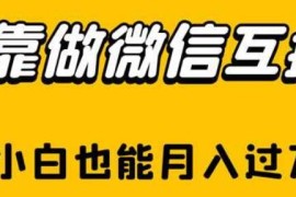 微信互推项目全流程实操攻略 新手小白可落地月入过万