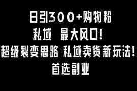 小红书日引300+购物粉裂变思路 私域卖货副业实操完整教程