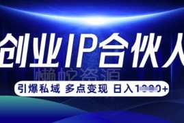云帆创业IP合伙人打造3.0教程 0基础学网创实现月入过万