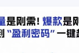 电商盈利精品实操课 掌握流量选品爆品逻辑提升店铺营收