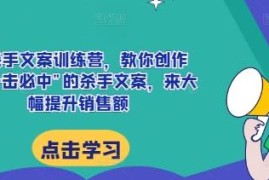 AI杀手文案训练营教学 掌握高转化文案技巧提升销售额