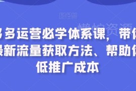 拼多多运营必学体系课 最新流量获取方法与推广成本优化教程