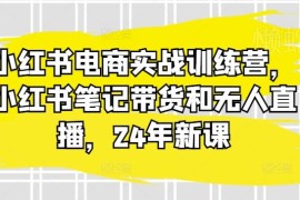 2024年小红书电商实战教程 笔记带货与无人直播全流程教学