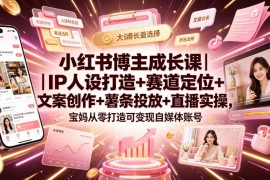 全职宝妈小红书运营全攻略 从IP打造到直播变现实操课程
