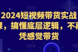 2024短视频带货实战教程 搞透核心底层逻辑告别凭感觉带货