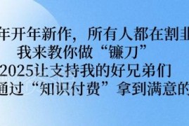 2025知识付费项目实操攻略 掌握互联网赚钱逻辑实现稳定增收